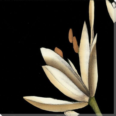 White Graphic Lily Flower TL Wrapped Canvas Giclee Print Wall Art ...