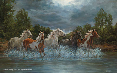 Storm Crossing Wild Horses Art Print Wall Art - Wall Decor - Wild