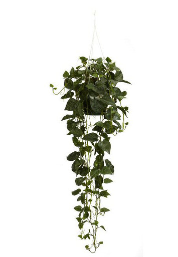 Nearly Natural Philodendron Hanging Basket Silk Plant - Artificial Plants - Silk  Plants