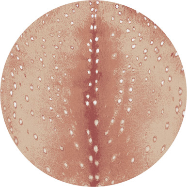 8' Spotted Hide Blush Round Nylon Area Rug - Floor Rug - American Dakota