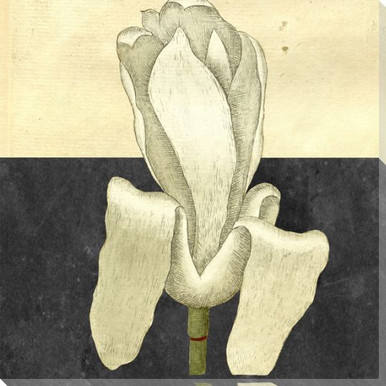 Botanical Series 4 Wrapped Canvas Giclee Art Print Wall Art | Botanical ...