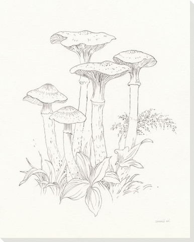 Nature Sketchbook S/2 Framed Art | Paragon