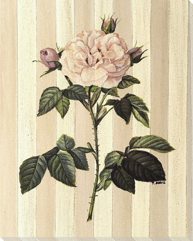 White Rose Flower Wrapped Canvas Giclee Print Wall Art | Botanical ...