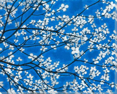 White Blossom Flowers On Blue Iii Wrapped Canvas Giclee Print Wall Decor Artwork
