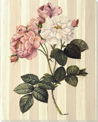 White and Pink Rose Flowers Wrapped Canvas Giclee Print Wall Art ...