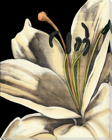 White Graphic Lily Flower IV Wrapped Canvas Giclee Print Wall Art ...