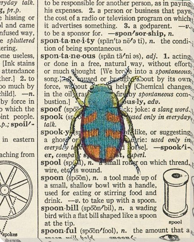 Spoolbug Spool Bug Wrapped Canvas Giclee Print Wall Art | Entomology Wall Decoration