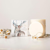 Highlands - Stag - Skin Care & Scents