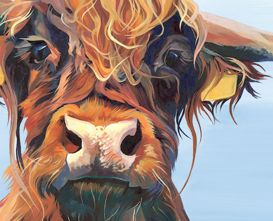 Lauren's Cows Cards
