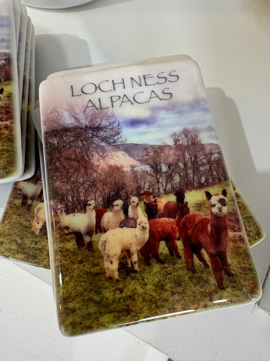 Loch Ness Alpaca Ceramic Magnet