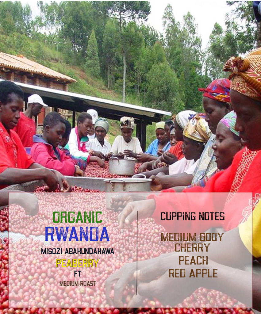 Rwanda Peaberry Coffee