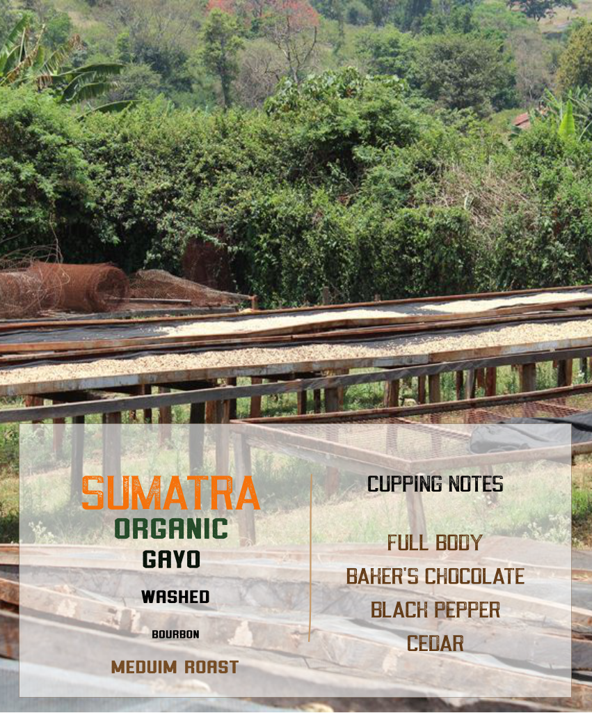 Organic Sumatra