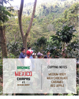 organic mexico chiapas