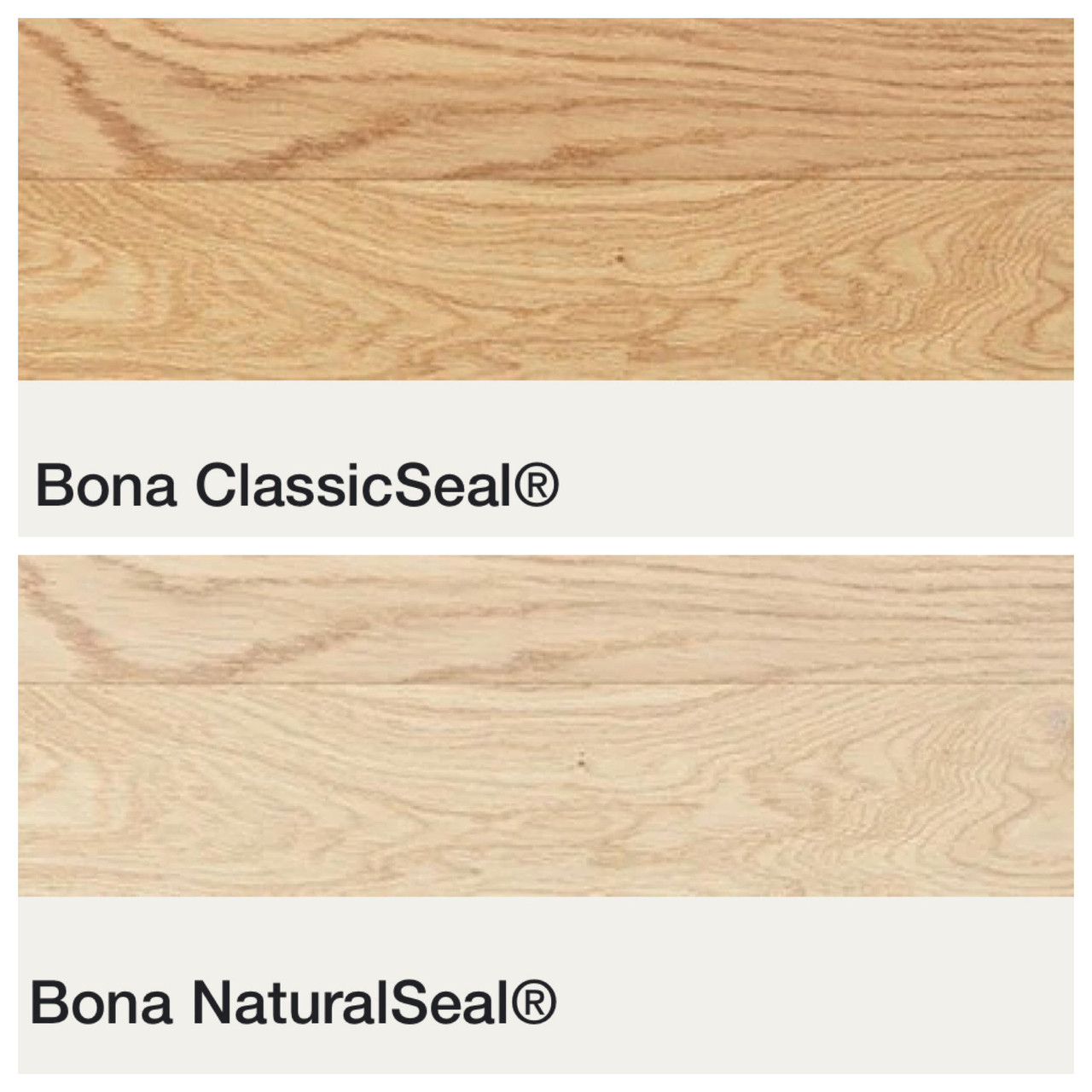 Bona DTS/IntenseSeal Gallon Floor Mechanics The World's Fastest