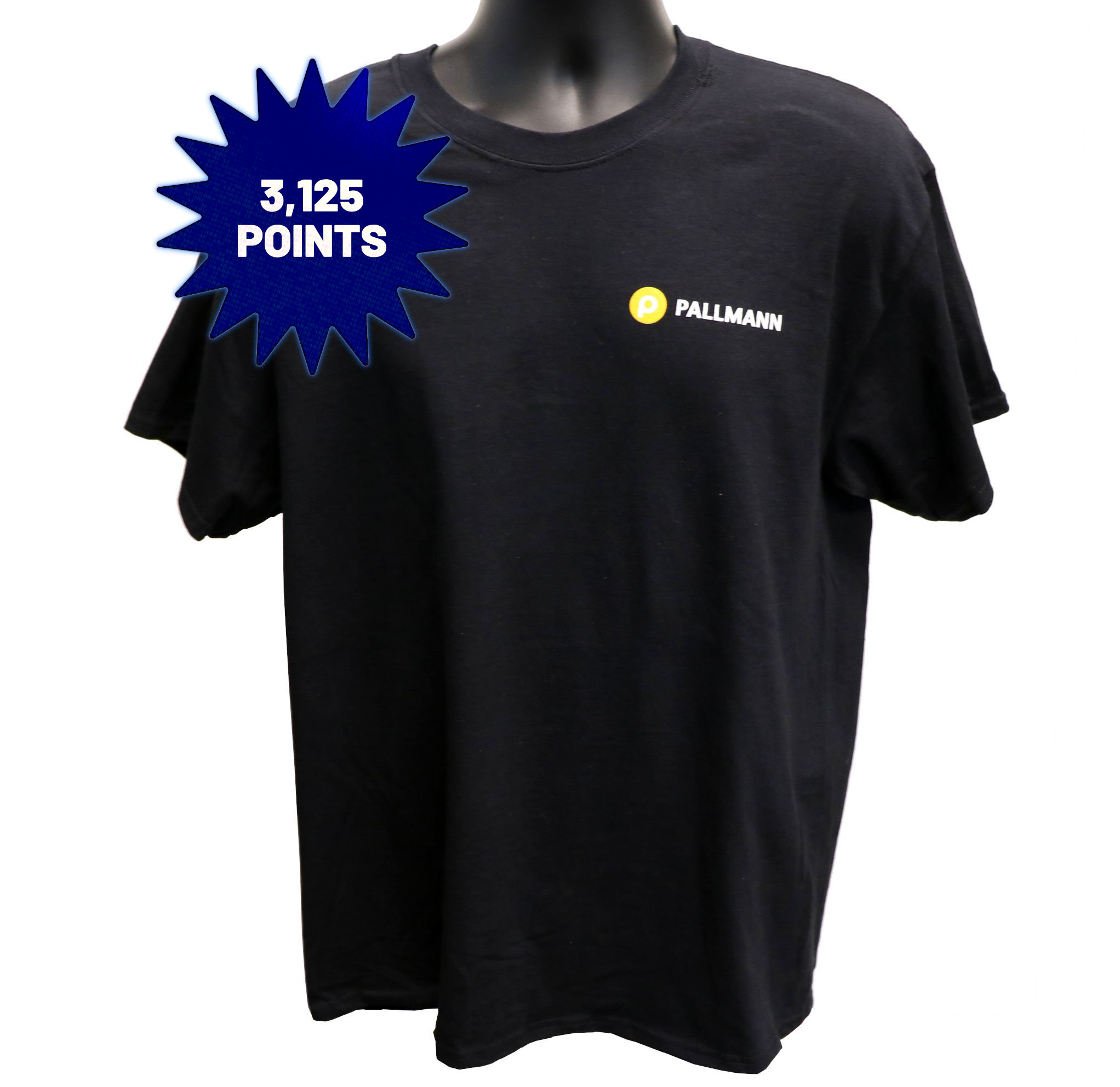 Pallmann I Got The Power T-Shirt - Floor Mechanics - The