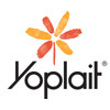 Yoplait Product Image 