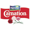 Carnation View Product Image