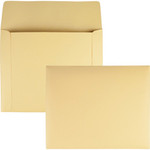 Quality Park Index Flat File - File - 9 1/2" Width x 11 3/4" Length - 110 lb Product Image 