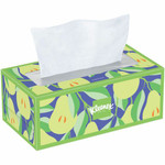Kimberly-Clark Professional Trusted Care Tissues - 2 Ply - White - Wood PulpBox - 160/Box Product Image 