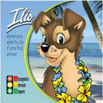 COLORING BOOK, LLIO, ENGLISH W/ CRAYONS  View Product Image