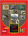 POSTER, SOUVENIR SAFETY-VERTICAL 01, 11X17 ENGLISH Product Image 