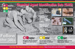 POSTER, CAIS, 11"X17" ENGLISH View Product Image