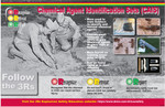 POSTER, CAIS, 18X24" ENGLISH View Product Image