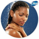 Dial Versa Cartridge Bottle Refills - Spring Water Scent - (DIA99804CT) Product Image 