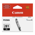 Canon 2091C001 (CLI-281) ChromaLife100+ Ink, 750 Page-Yield, Black View Product Image