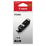 Canon 6497B001 (PGI-250) ChromaLife100+ Ink, 300 Page-Yield, Black View Product Image