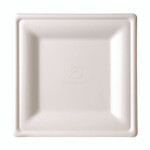 Eco-Products Renewable Square Sugarcane Plates, 10.25 x 10.25, Natural White, 50/Pack, 5 Packs/Carton Product Image 