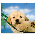 Fellowes Recycled Mouse Pad, 9 x 8, Puppy in Hammock Design Product Image 