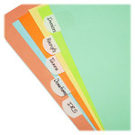 LEE Removable Hefty Index Tabs - Write-on Tab(s) - (LEE13105) Product Image 