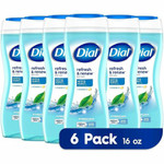Dial Refresh & Renew Body Wash - DIA02653CT Product Image 