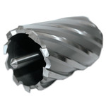 CYCLONE CUTTER 13/16"X2" - 510-CC812L Product Image 