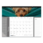 Blueline Pets Collection Monthly Desk Pad, Puppies Photography, 22 x 17, Black Binding, Clear Corners, 12-Month (Jan to Dec): 2024 View Product Image