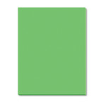 Pacon Riverside Construction Paper, 76 lb Text Weight, 18 x 24, Green, 50/Pack (PAC103461) View Product Image