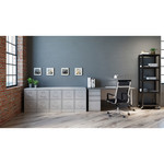 Lorell 2-Drawer Vertical File,w/ Lock,15"x26-1/2"x28-3/8",Lt Gray (LLR60195) View Product Image