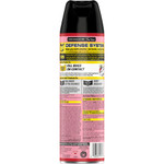 Raid Ant/Roach Killer Spray (SJN669798CT) View Product Image