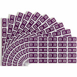 Smead ETS Color-Coded Year Labels - 1/2" Height x 1" Width - Rectangle - Purple - Laminated Product Image 