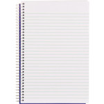 Blueline Steno Notes Notebook, Gregg Rule, Blue/White Cover, (180) 9 x 6 Sheets View Product Image
