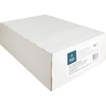 Business Source No. 9 Double Window Invoice Envelopes (BSN36681) Product Image 