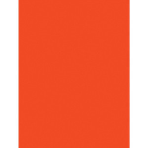 SunWorks Construction Paper (PAC6617) View Product Image