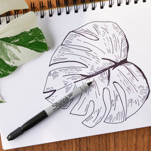 Marker, Sharpie, Bwt, Blk, 2Ct (SAN2152698) View Product Image
