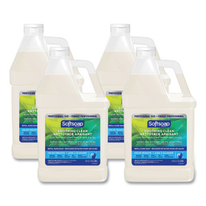 Softsoap Liquid Hand Soap Refill with Aloe, Aloe Vera Fresh Scent,  1 gal Refill Bottle, 4/Carton (CPC61036483CT) View Product Image