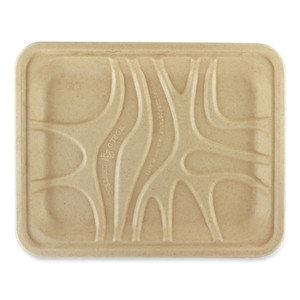 World Centric Fiber Trays, 7.1 x 9.1 x 0.7, Natural, Paper, 500/Carton View Product Image