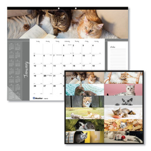 Blueline Pets Collection Monthly Desk Pad, Furry Kittens Photography, 22 x 17, White Sheets, Black Binding, 12-Month (Jan-Dec): 2024 View Product Image