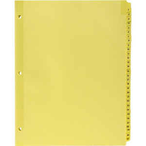 Business Source Preprinted 1-31 Tab Index Dividers - Printed Tab(s) - (BSN01808) Product Image 