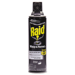 Raid Wasp and Hornet Killer, 14 oz Aerosol Spray, 12/Carton (SJN668006) View Product Image