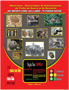 POSTER, SOUVENIR SAFETY-VERTICAL 01, 11X17 SPANISH View Product Image
